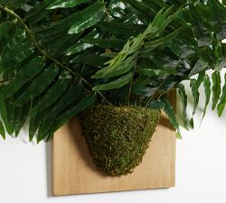 Faux Fern Wall Art