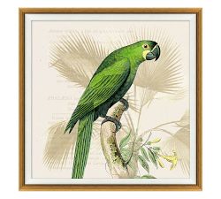Green Parrots
