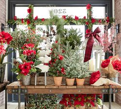 Sherpa Reindeer Objects