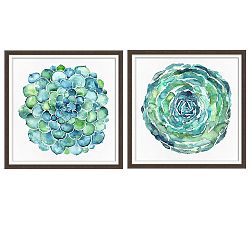 Watercolor Succulent Print