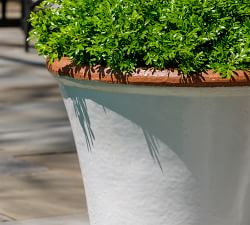 Juliet Glazed Terracotta Planters