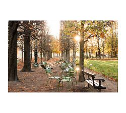 Afternoon Light in the Tuileries by Rebecca Plotnick