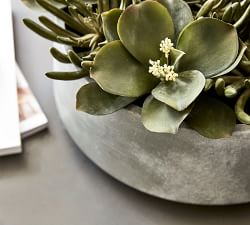 Composed Succulent Arrangement In Ceramic Planter