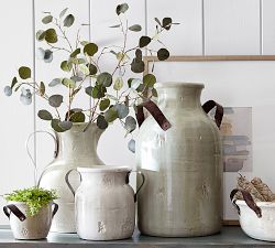 Faux Silver Dollar Eucalyptus Branch