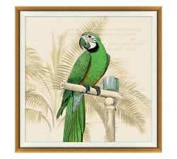 Green Parrots