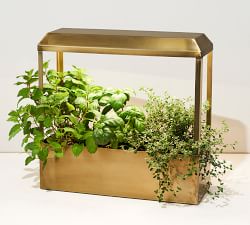 Growhouse, 16.5" X 15.8"