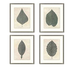 Leaf Lines Framed Prints