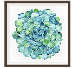 Watercolor Succulent Print