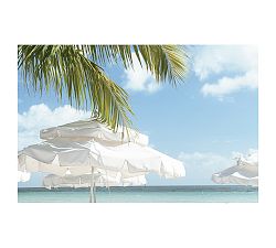 Holiday Paper Print by Cindy Taylor