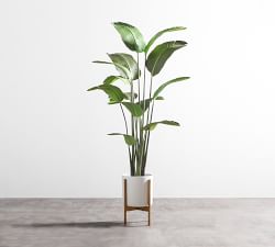 Faux Bird Of Paradise Plants