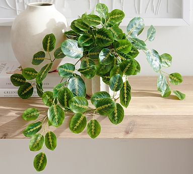 succulent container White Boat Succulent Planter Arrangement