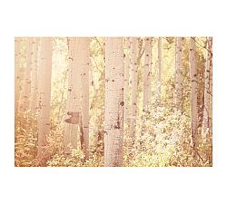 Aspen Dreams Framed Prints by Jennifer Meyers