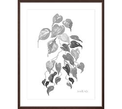 Custom Framed - Graphite Pothos by The Artists Studio