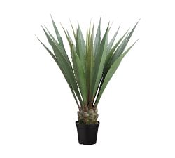 Faux Potted Agave Plant
