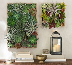 Faux Succulent Wall Art