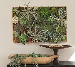 Faux Succulent Wall Art
