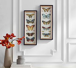 Butterfly Shadow Boxes - Set of 2