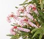 Candy Cane Tree Pick