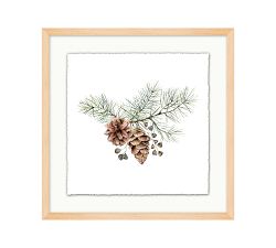 Pinecone Sprig Framed Print