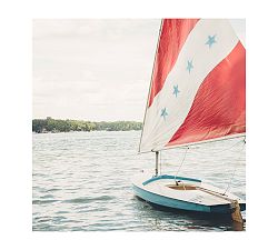 Summer Story Framed Print By Cindy Taylor