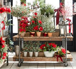 Williams Reclaimed Wood Media Console (64")