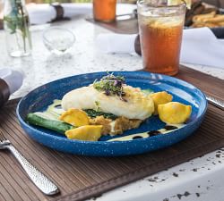 Fortessa Camp Outdoor Melamine Dinner Plates - Set of 6