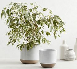 Quinn Stoneware Outdoor Planters