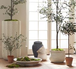 Handcrafted Glazed Terracotta Decorative Bowl