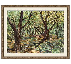 Sunlit Path Framed Print by Denise M. Fulton