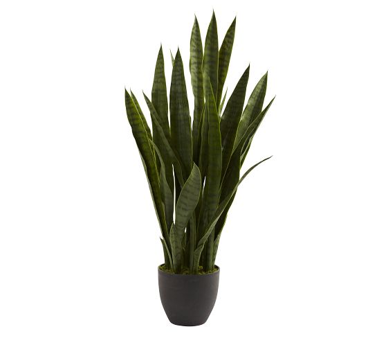 mini succulent pots bulk Dozen Mini Living Succulent Pot Favors Gift Box main image 0