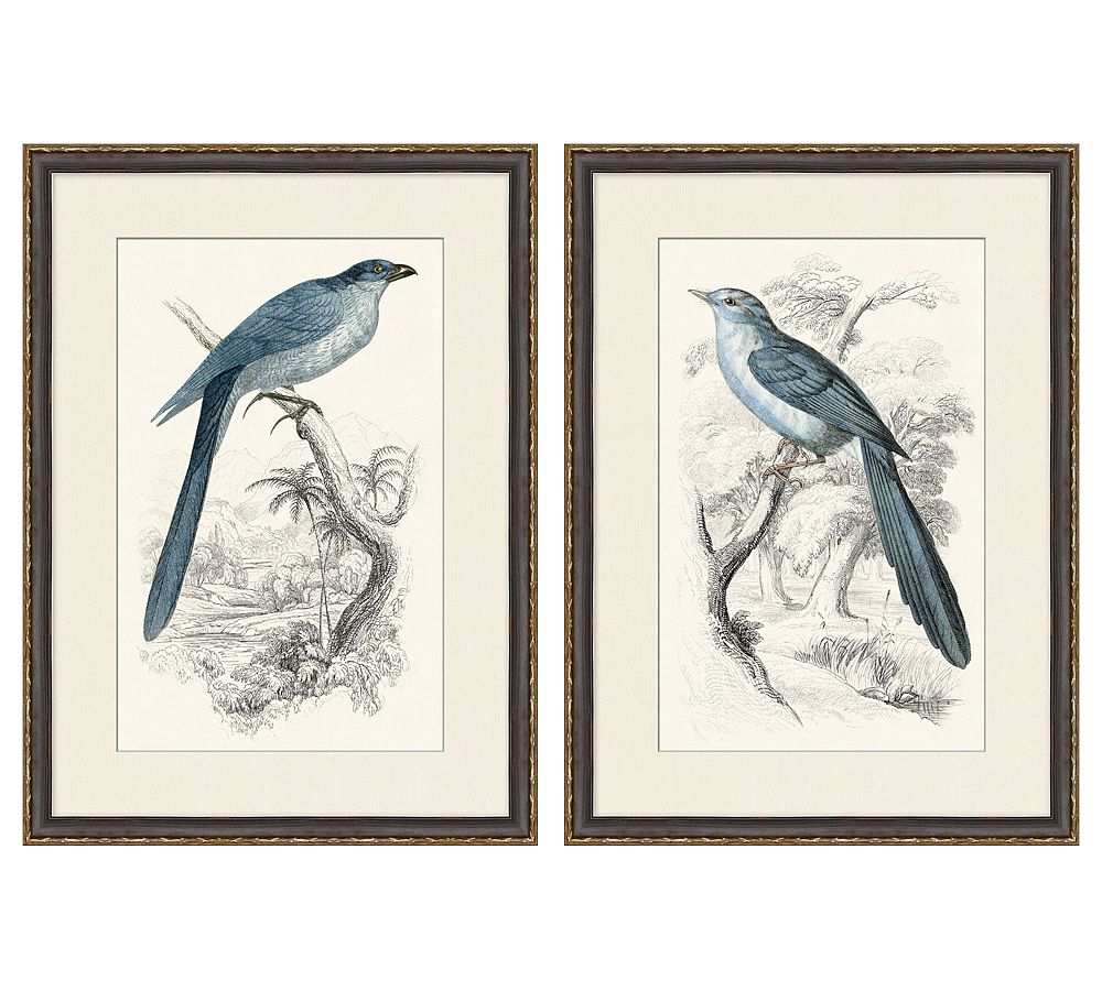 Traditional Bird Framed Paper Prints - Set of 2