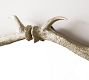Antler Arch Wall Mirror