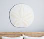 Oversized Sand Dollar