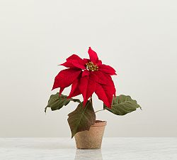 Open Box: Faux Potted Poinsettias, Small - Red