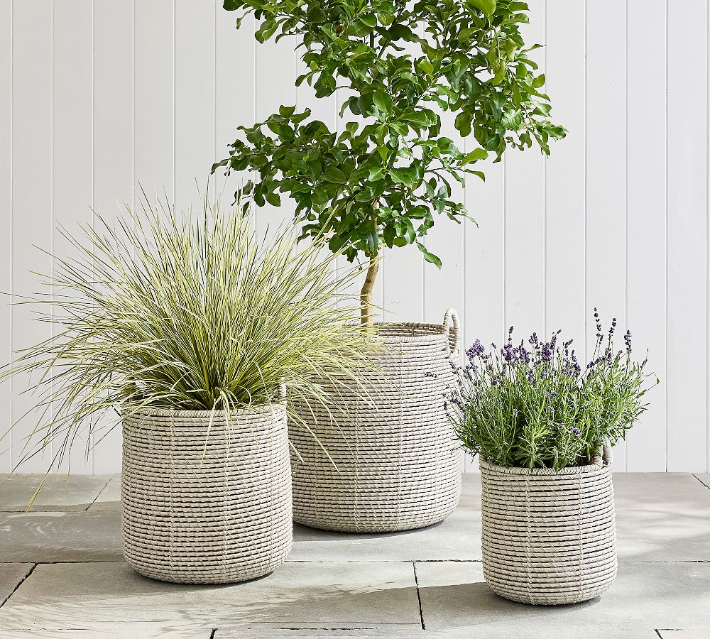 Porter Woven Planter by Pottery Barn