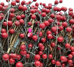 Open Box: Lit Red Berry Tree Topper