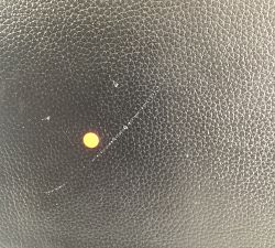 Open Box: Quinn Jewelry Box, Foil Debossed, Medium - Black