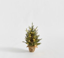 Open Box: Faux Lit Cedar Berry Pine Tree, Small (2')