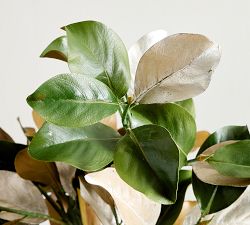 Brandon Maxwell Silver Magnolia Branch