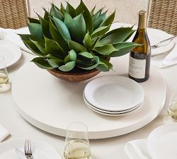 Faux Composed Spike Aloe Plant