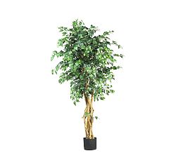 Open Box: Faux Palace Style Ficus Trees (5')
