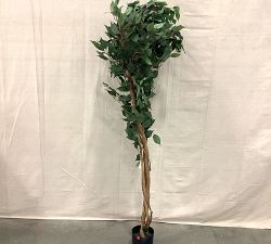 Open Box: Faux Palace Style Ficus Trees (5')