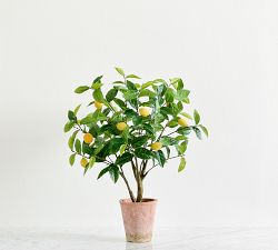 Faux Potted Lemon Topiary