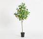Faux Lemon Tree