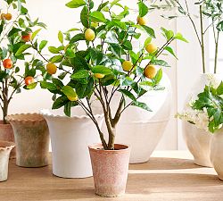 Faux Potted Lemon Topiary