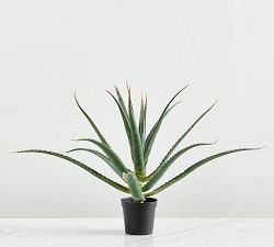 Faux Spike Aloe Plant