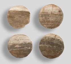 Petrified Wood Coasters - Set of 4