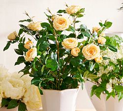 Faux Yellow Garden Rose Bundle