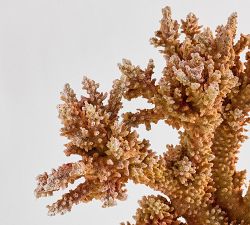 Faux Yellow Staghorn Coral