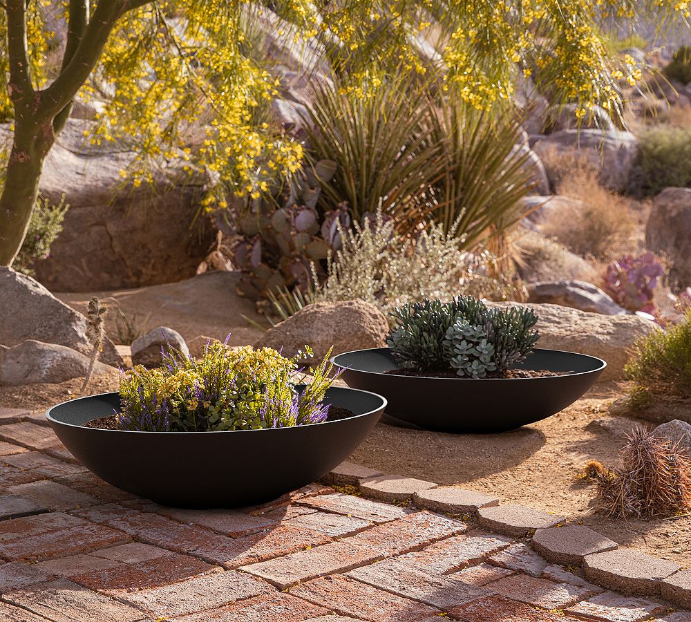 All Weather Eco Hevea Outdoor Bowl Planters by Pottery Barn